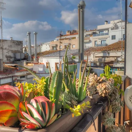 Orquidea By Hello Homes