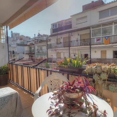 Orquidea By Hello Homes