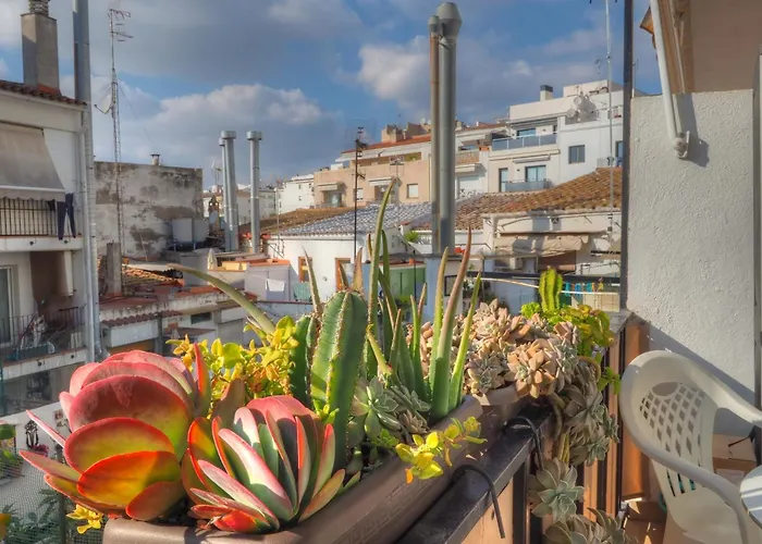 Orquidea By Hello Homes