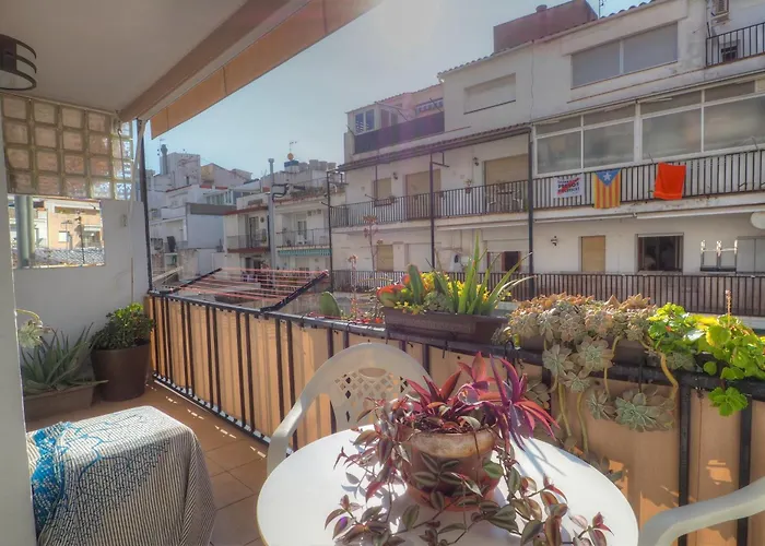 Orquidea By Hello Homes